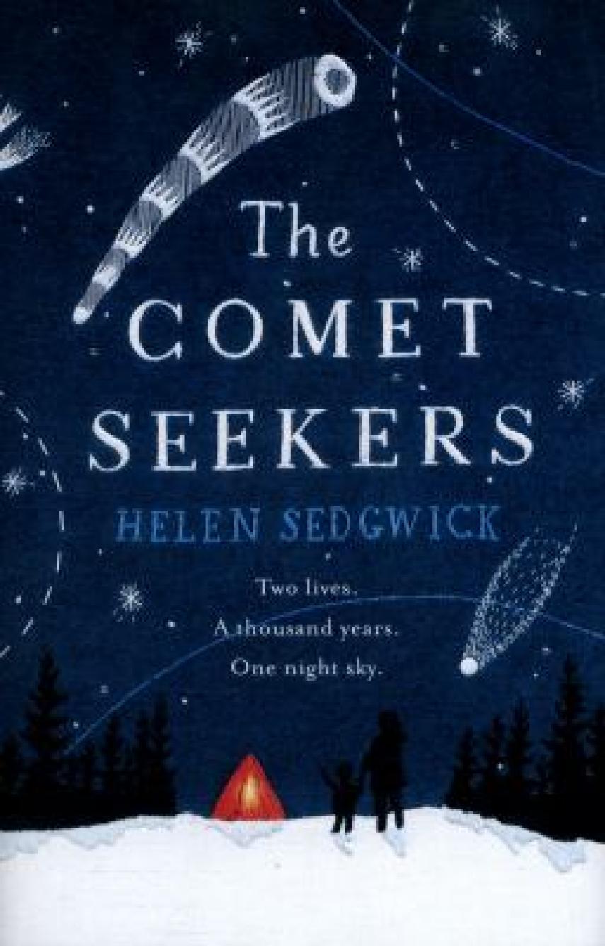 Helen Sedgewick: The comet seekers